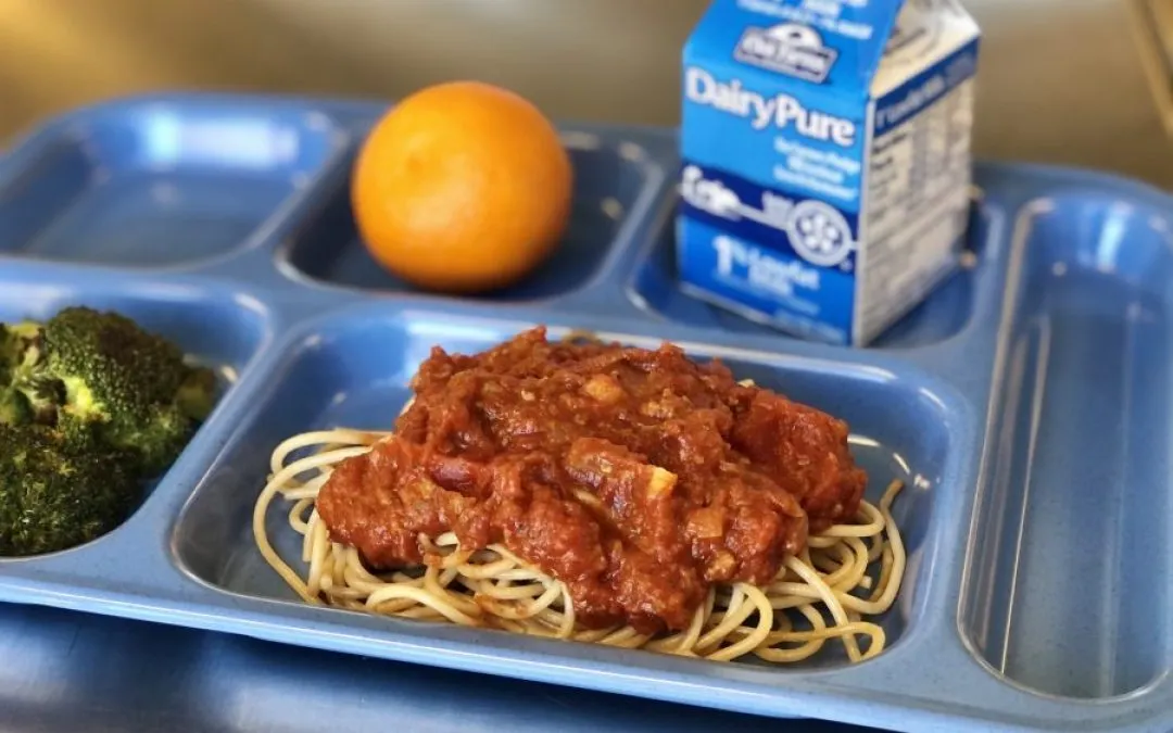 Bolognese Meat Sauce Cooking for kids