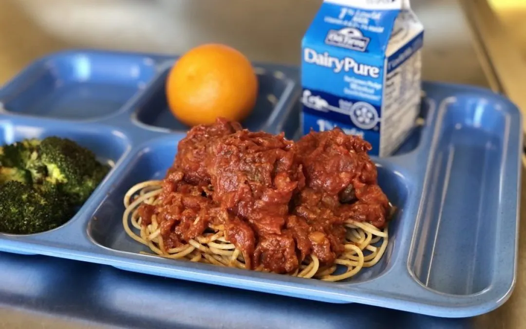 Meat Balls Cooking for kids