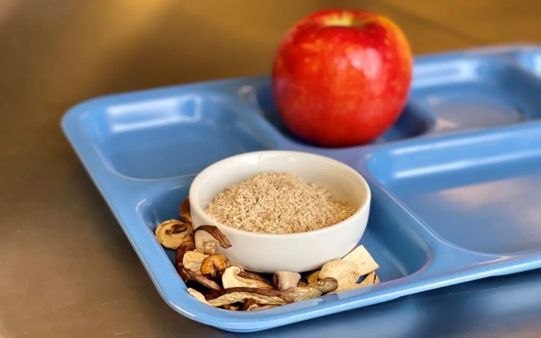 DUST DEFINITION COOKING intelligence overview