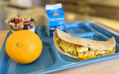 Breakfast Quesadilla